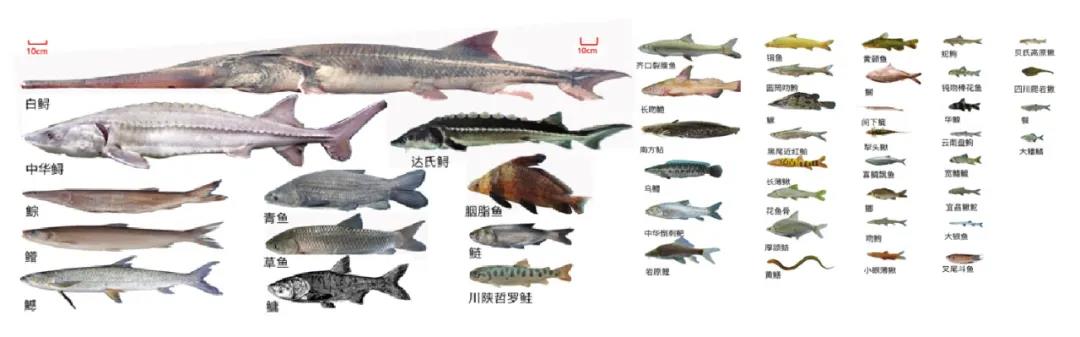 微信图片_20211122232008.jpg PA视讯