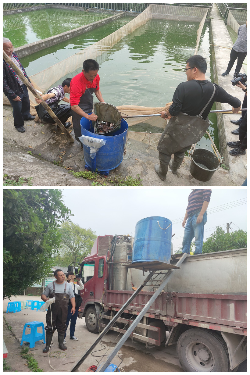 5_副本.jpg PA视讯