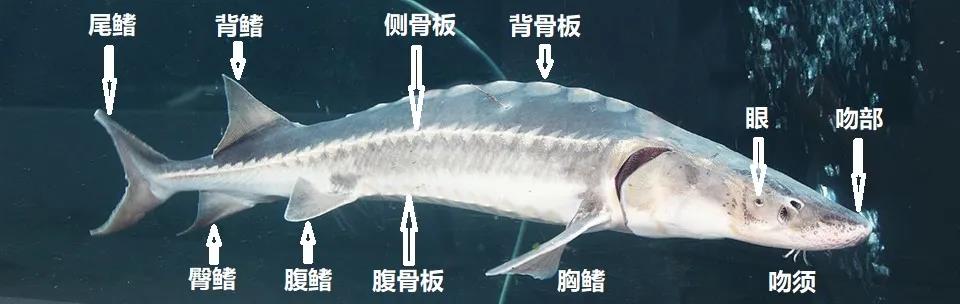 微信图片_20211122232000.jpg PA视讯