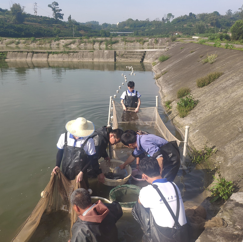 2_副本.jpg PA视讯