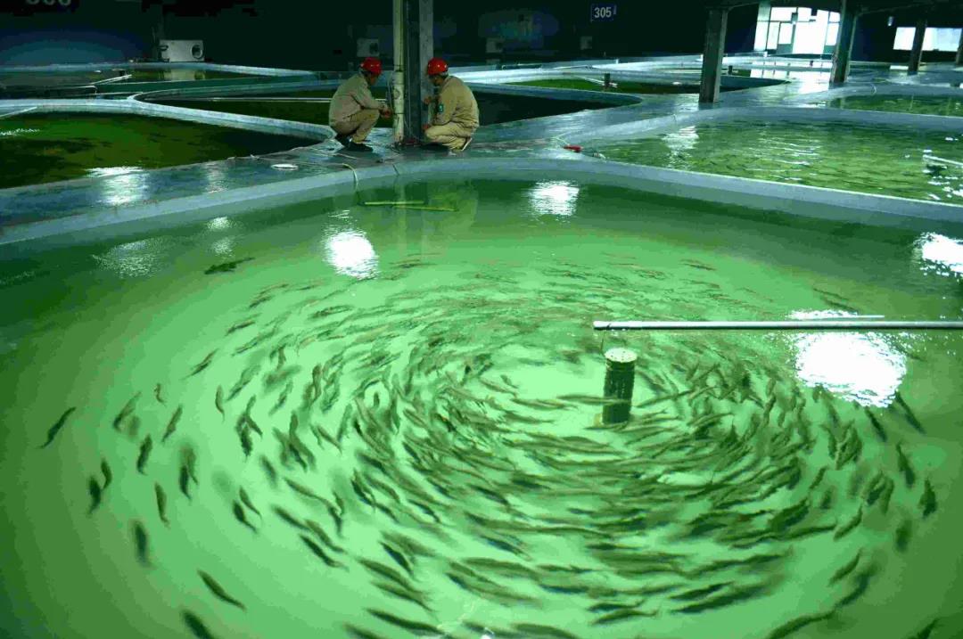 微信图片_20211122232059.jpg PA视讯