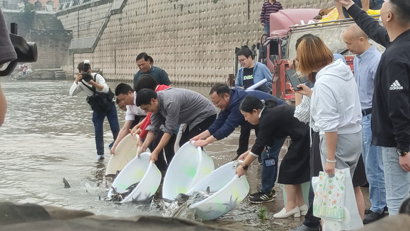 7_副本.jpg PA视讯